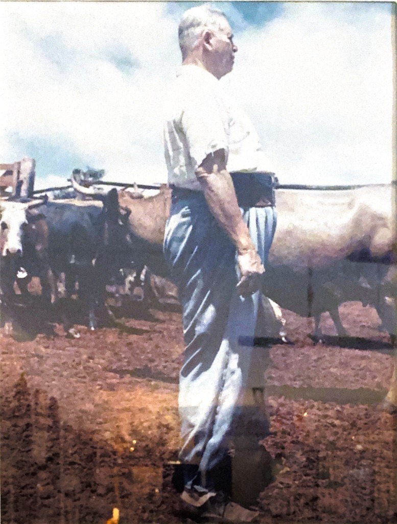 Zulmiro Della Giustina - 1ª Geração