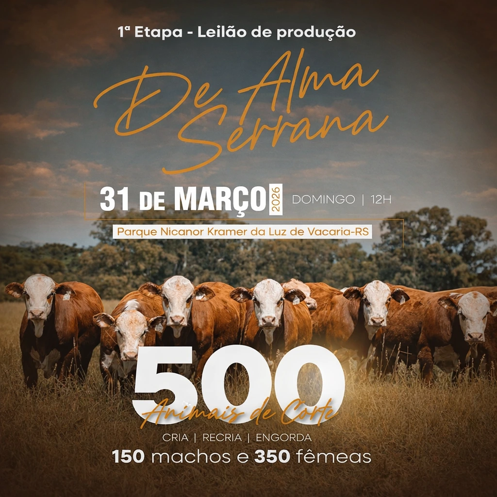 Leilão de Produção gado Hereford e Braford - Março 2026